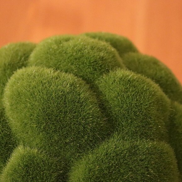 Flower Grass Ball for Hanging plant or aquarium, NWT, unused - Picture 2 of 5